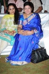 Pyaar Mein Padipoyane Audio Launch